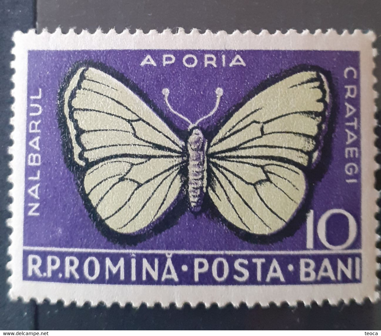 Errors Romanua 1956 MI 1586 White Butterfly Tree,  With Print Moth Shifted To The Rilleft Mnh - Plaatfouten En Curiosa