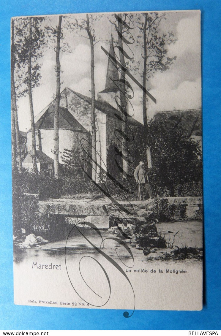 Maredret. La Vallée De La Molignée.  , Nels Serie 22, N°8-Anhée. - Anhée