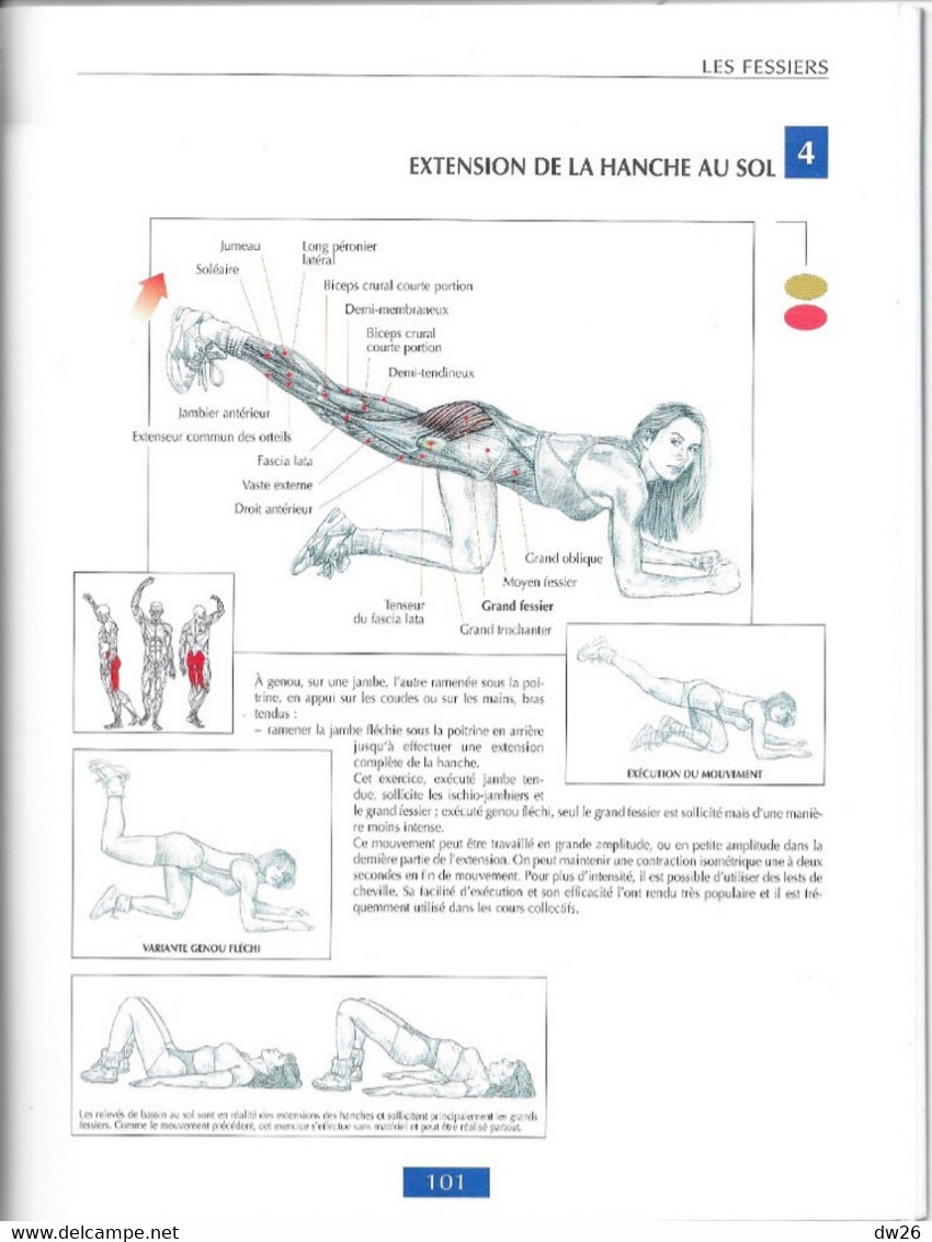 Sports: Livre De Frédéric Delavier - Guide Des Mouvements De Musculation (Approche Anatomique) 1999 - Sport