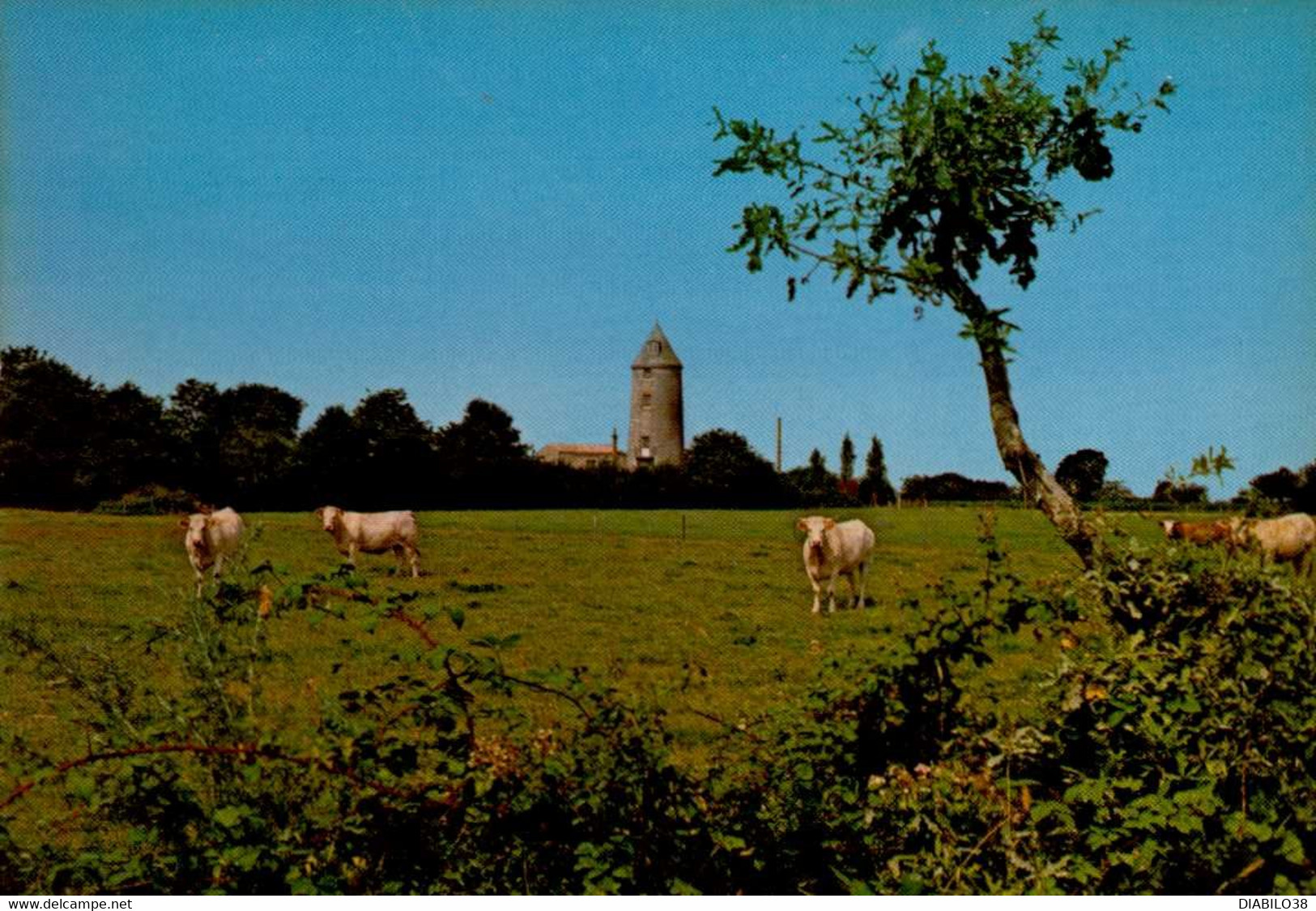 LES LUCS-SUR-BOULOGNE      ( VENDEE )    LE MOULIN - Les Lucs Sur Boulogne