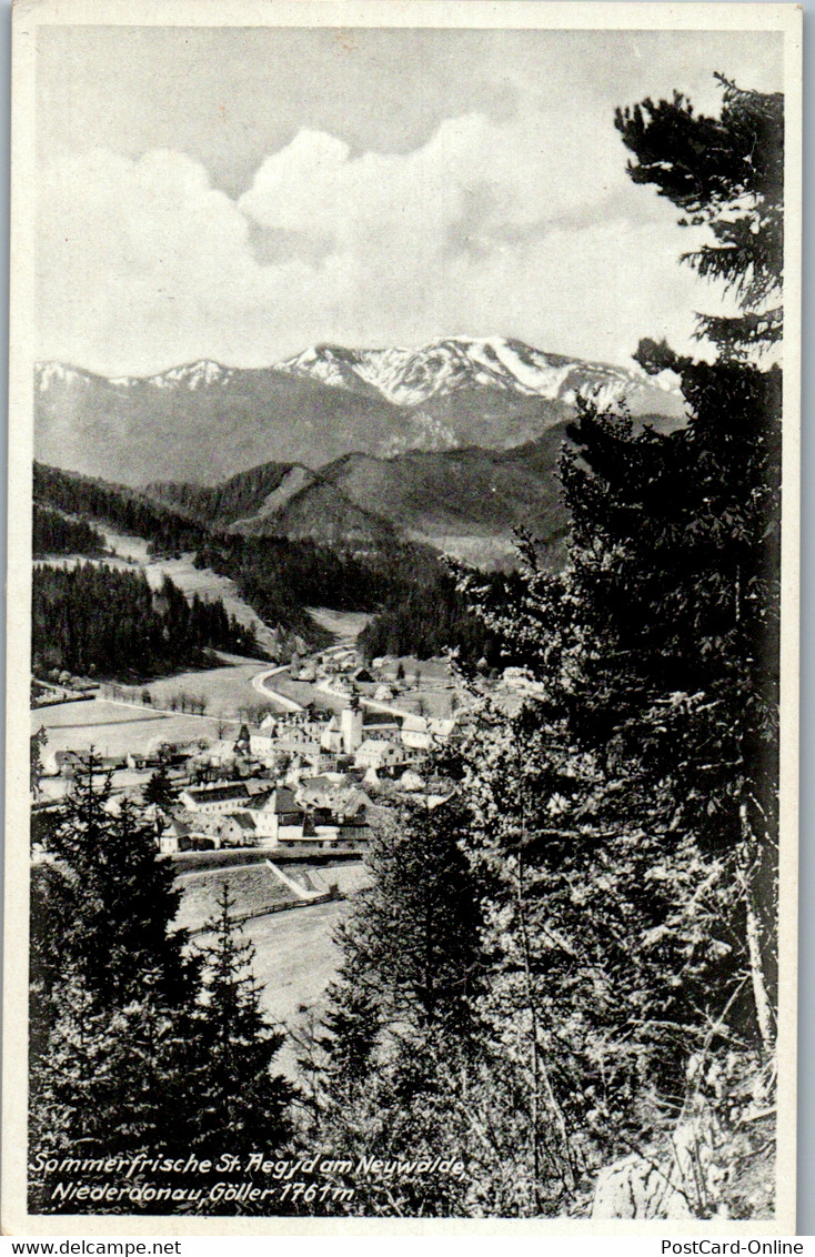 34151 - Niederösterreich - St. Aegyd Am Neuwalde , Niederdonau , Göller , Panorama - Nicht Gelaufen 1941 - Lilienfeld