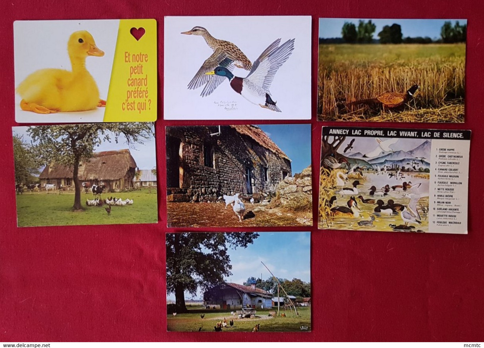 31 Cartes - Ferme Agricole - Agriculteur -Basse Cour - Poules, Coqs, Canards - Poule, Coq, Canard, Volaille, Elevage - Breeding