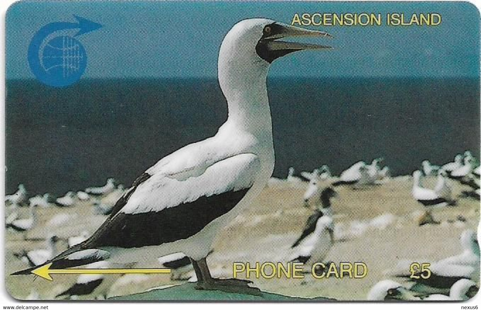 Ascension Island - C&W - GPT - 5CASA - White Booby Bird, 1994, 5.000ex, Used - Islas Ascensión