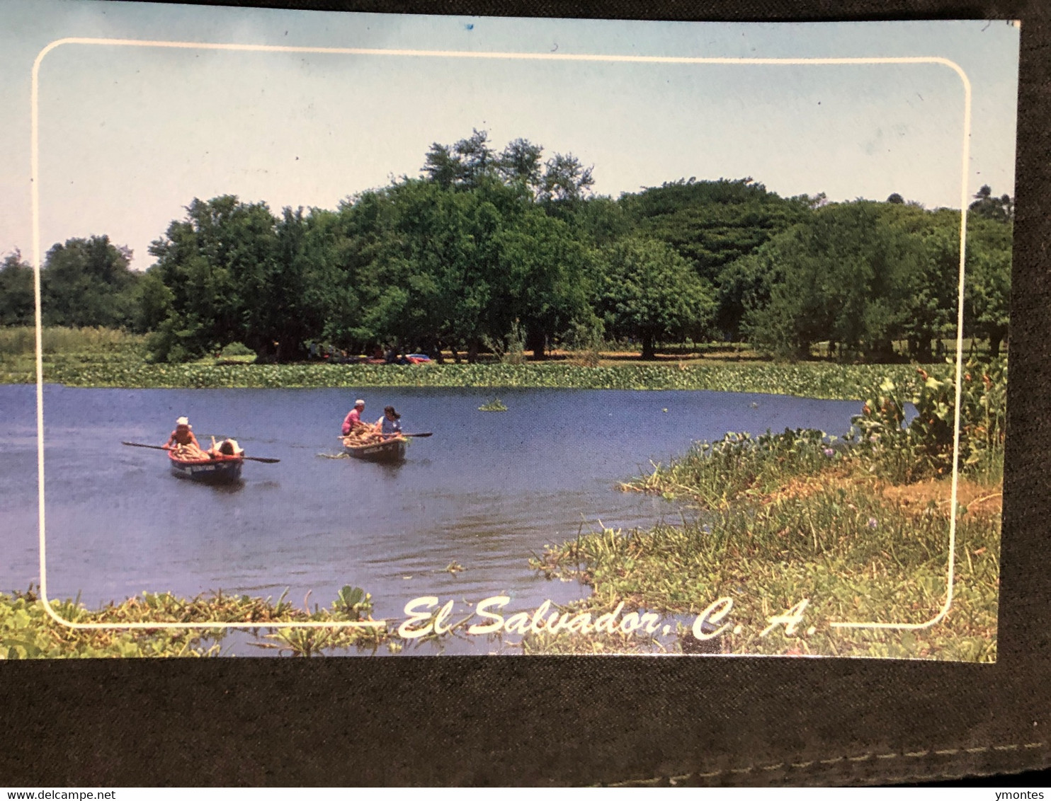 Postcard El Jocotal Lagoon 2013 ( Fish Stamps) - El Salvador