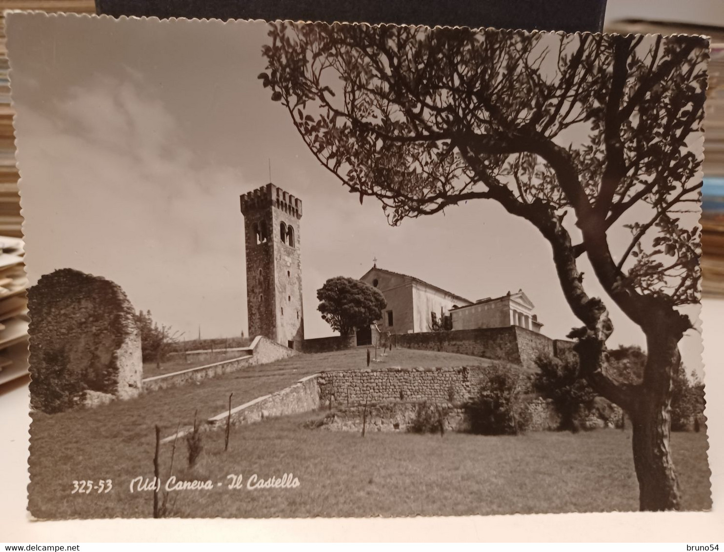 Cartolina Caneva Provincia Pordenone ,il Castello 1966 - Pordenone