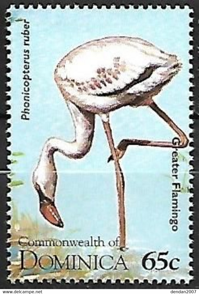 Dominica - MNH ** 1995 :  American Flamingo   - Phoenicopterus Ruber - Flamingo's