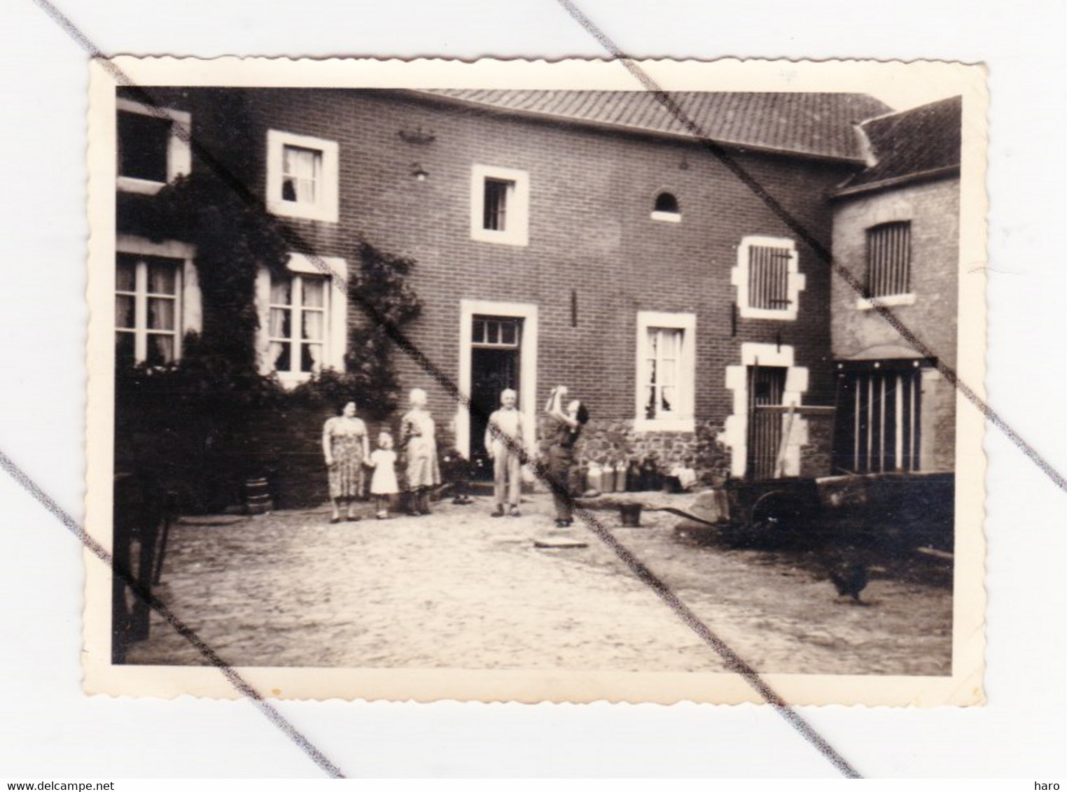 Photo Carte + Photo ( 8 X 11 Cm ) - Ferme - Région Fléron, Soumagne, Ayeneux, St Hadelin ?  1956 - A SITUER ( B302) - Fléron