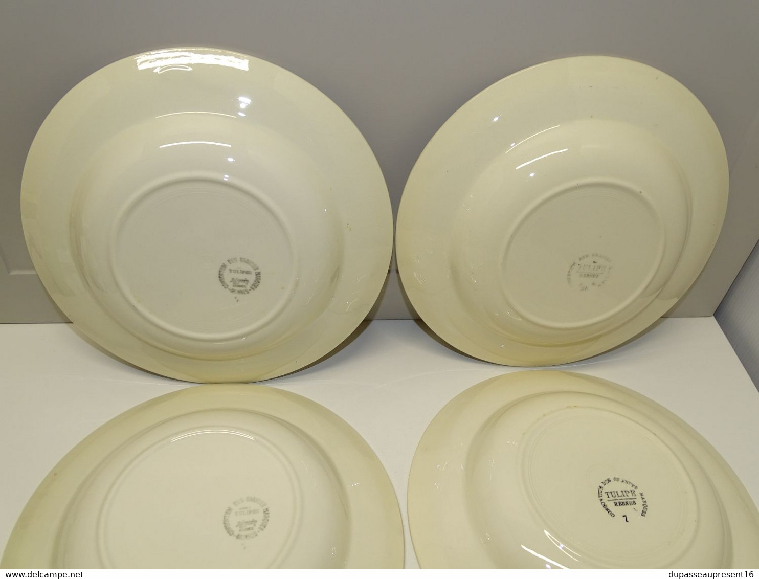 *6 ASSIETTES DEMI CREUSES LE CONSORTIUM LES GRANDES MARQUES DIGOIN TULIPE  E