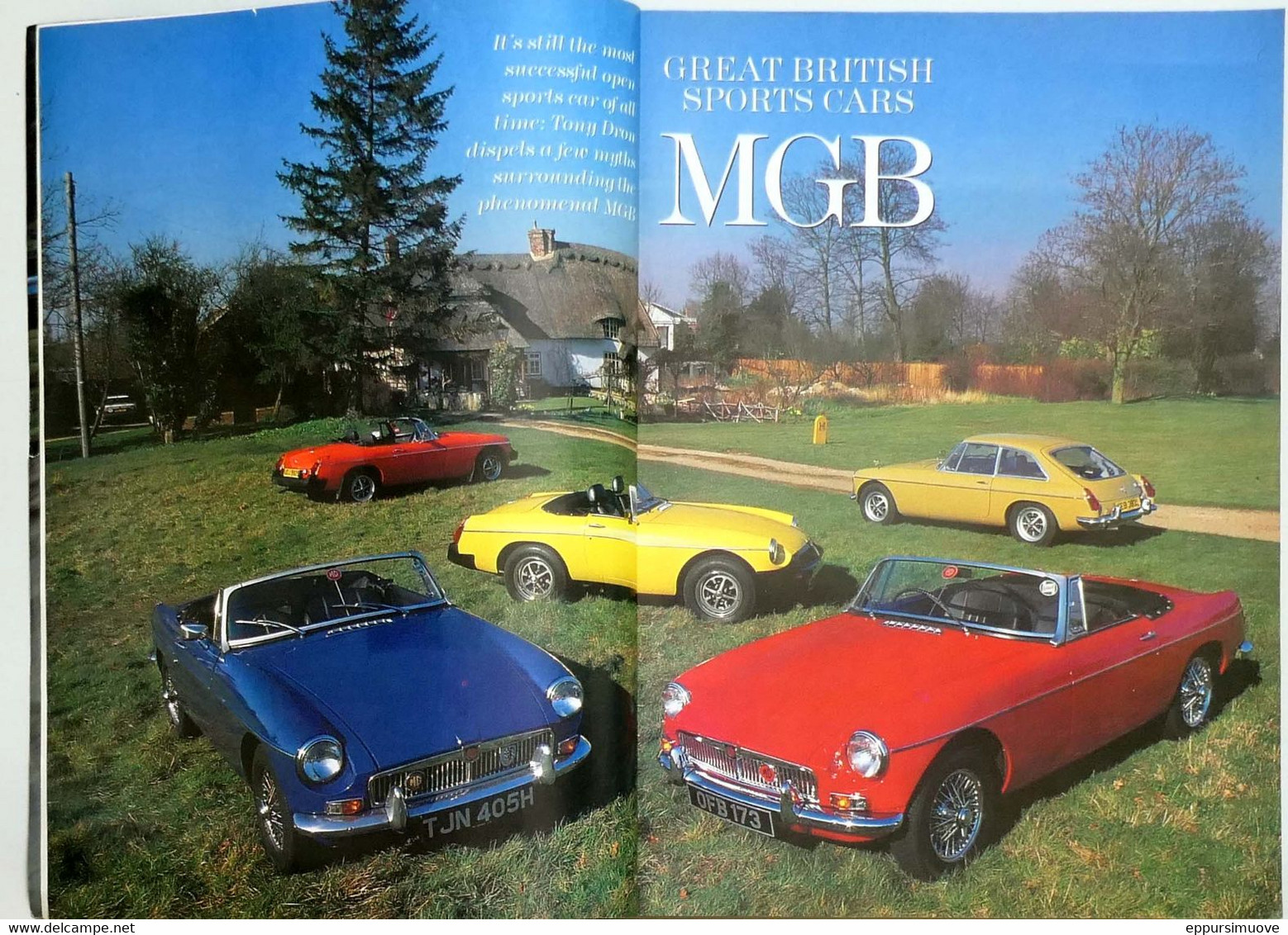 THOROUGHBREED & CLASSIC CARS 06-1995 MGB BMW SAAB TURBO FIAT ABARTH V8s - Transport