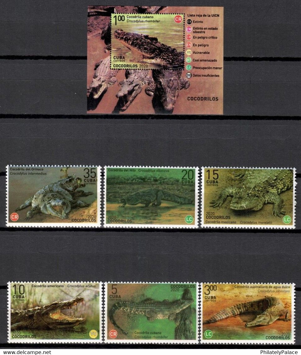 CUBA 2020 ***  Crocodiles Reptiles MNH 6v + 1 MS (**) Limited Edition - Ongebruikt