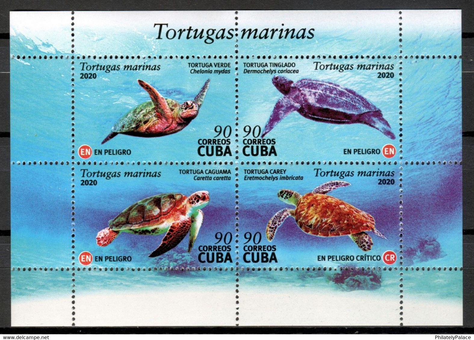 CUBA 2020 ***  Reptiles Turtles MNH (**) Limited Edition - Ongebruikt