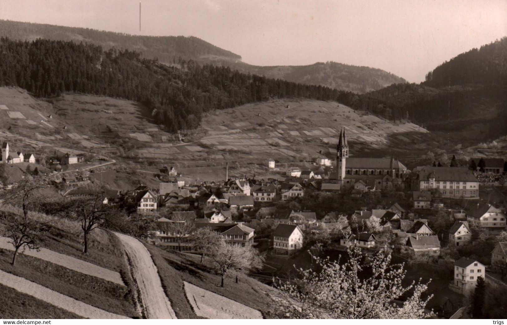 Forbach Im Romantischen Murgtal (Schwarzwald) - Forbach