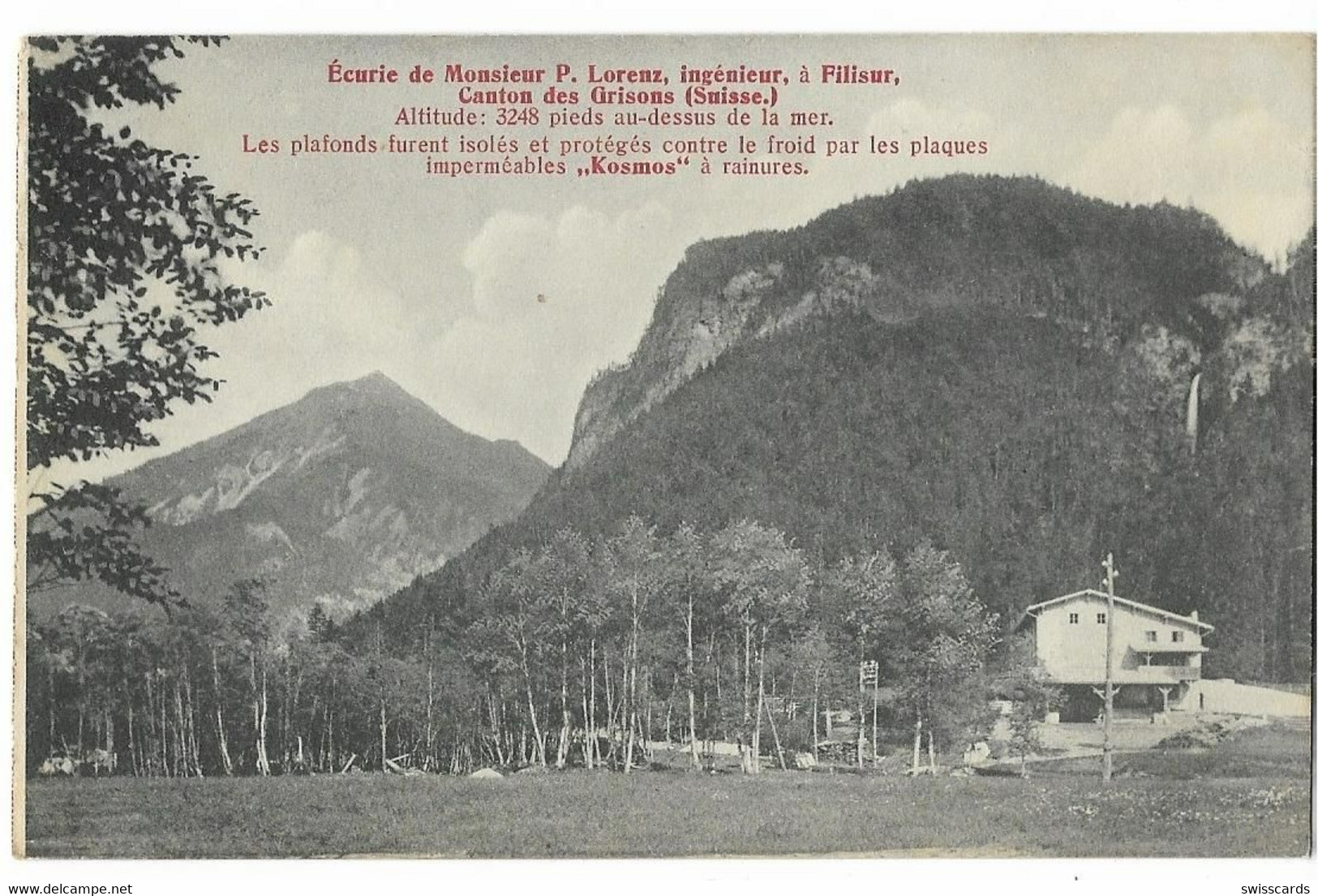 FILISUR: Bauernhof P. Lorenz, Kosmos-WerbeAK ~1910 - Filisur