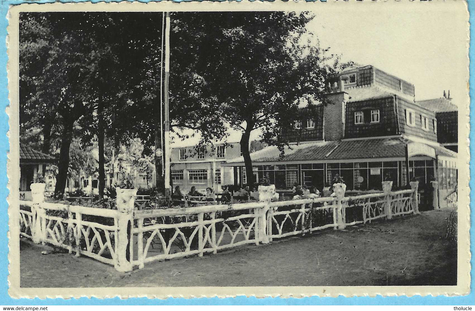 Waasmunster-+/-1950-Heidepark-Zicht Op Heidepark-Terrasse-Timbre Lion Héraidique-COB 851-1951-Foto Longinus De Munster - Waasmunster