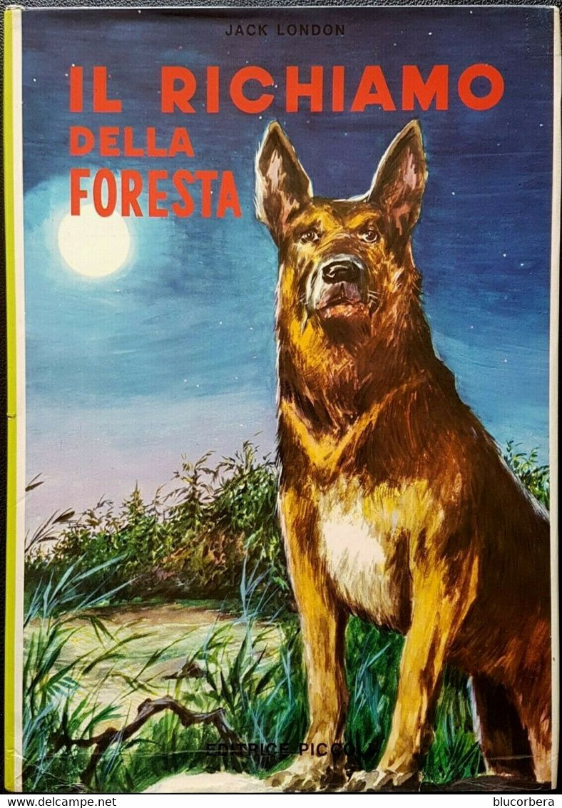 IL RICHIAMO DELLA FORESTA ED. PICCOLI MILANO ILLUSTRATORE MOLINO - Classic