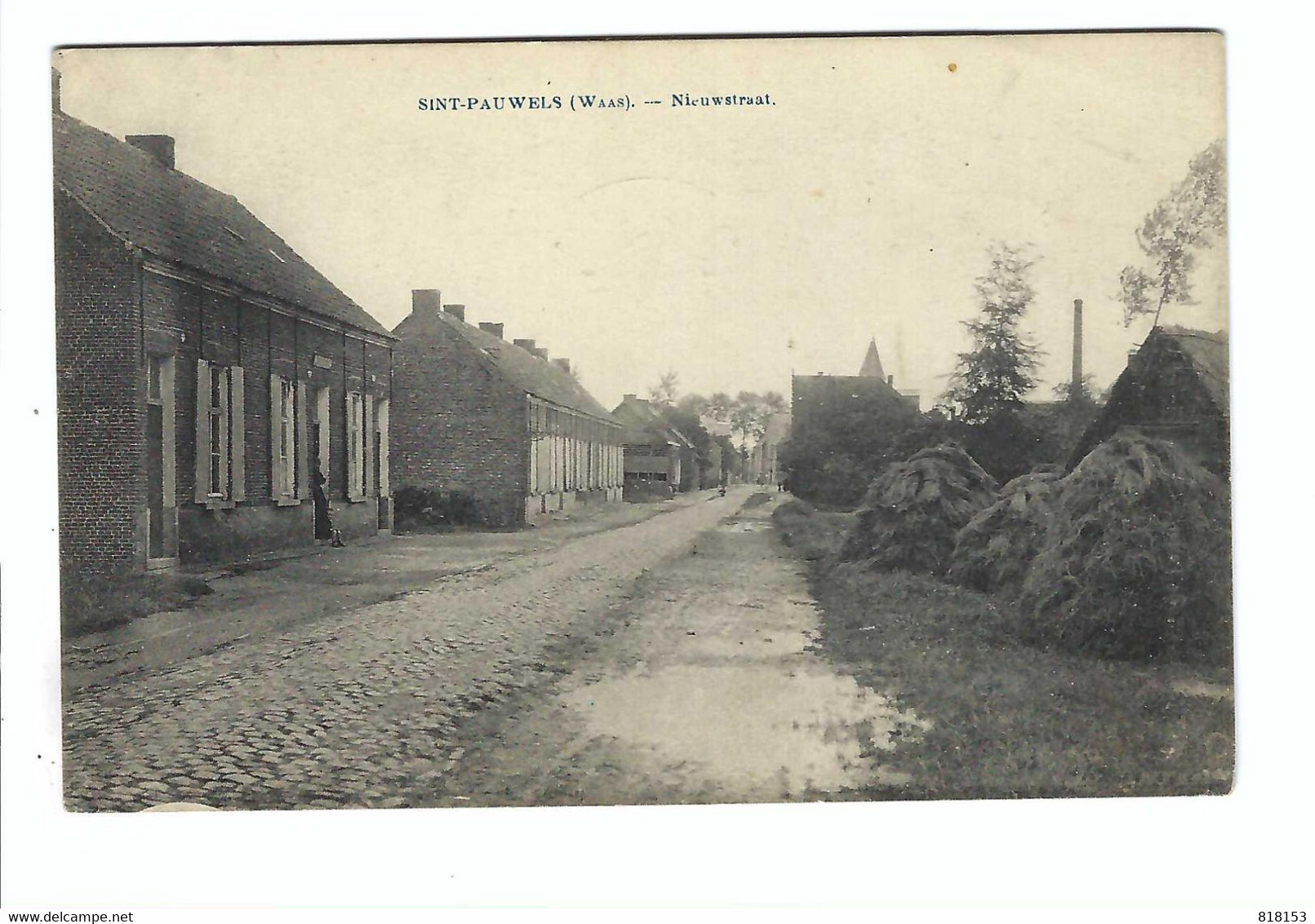 SINT-PAUWELS (WAAS) - Nieuwstraat   E.DESAIX     Uitg.Ch. De Potter - Sint-Gillis-Waas