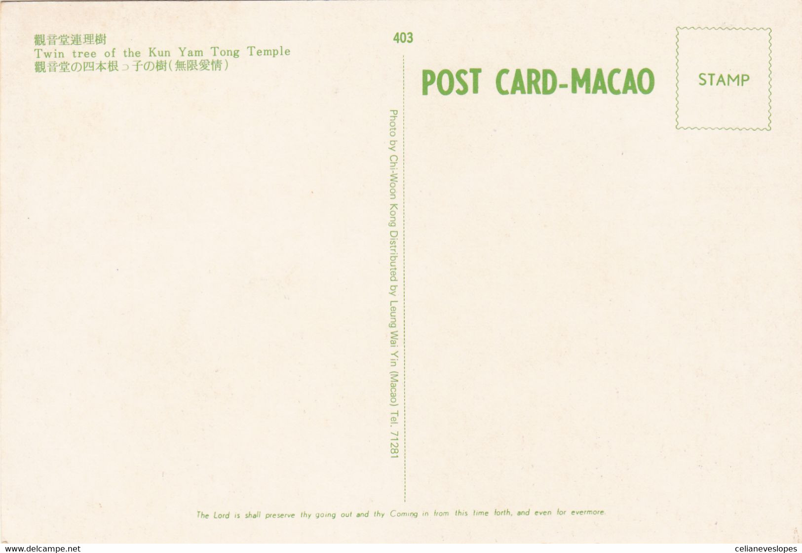 Macau, Macao, Maximum Cards, (84), Macau Visto Por...Lio Man Cheong 1995 - Maximum Cards