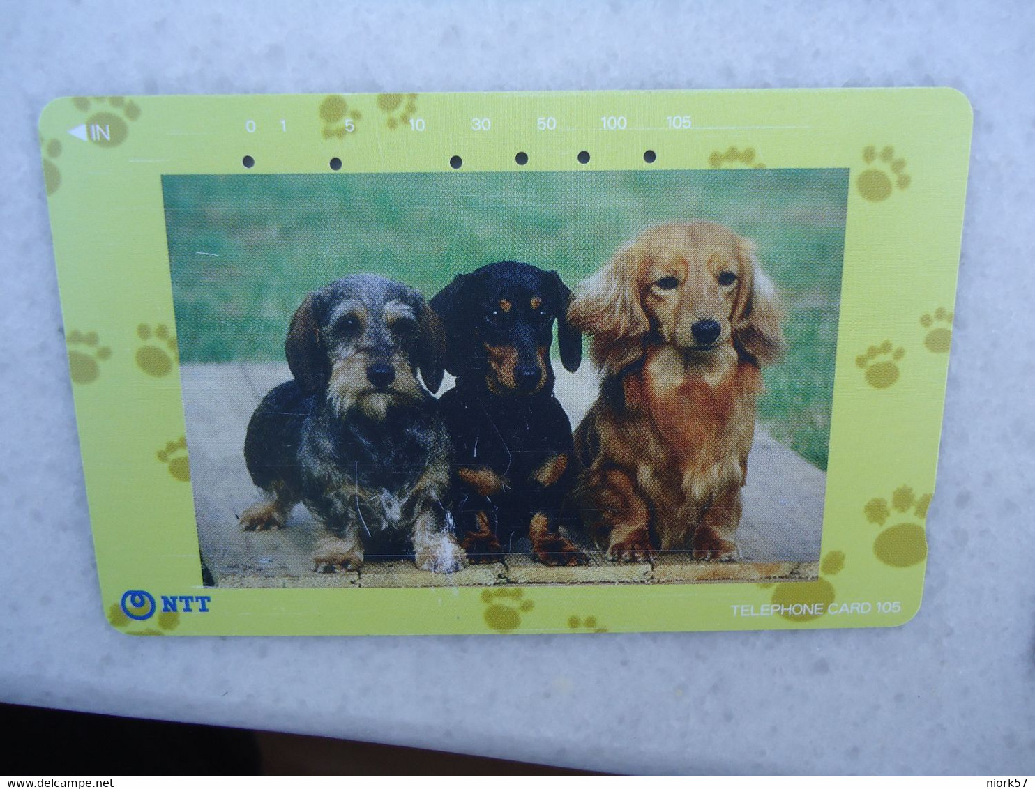 JAPAN   NTT AND  OTHERS CARDS  ANIMALS  DOG  DOGS - Dogs