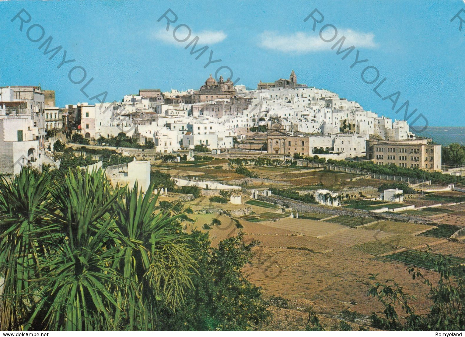 CARTOLINA  OSTUNI,BRINDISI,PUGLIA,PANORAMA,MEMORIA,STORIA,CULTURA,RELIGIONE,IMPERO ROMANO,BELLA ITALIA,VIAGGIATA - Brindisi