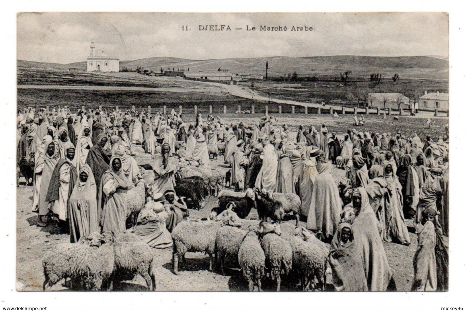 Algérie -- DJELFA --1907-- Le Marché arabe   ( très animée ,moutons  ) ...............à saisir