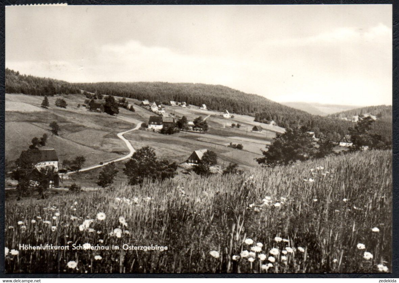 F8669 - TOP Schellerhau - Verlag Kenne - Schellerhau