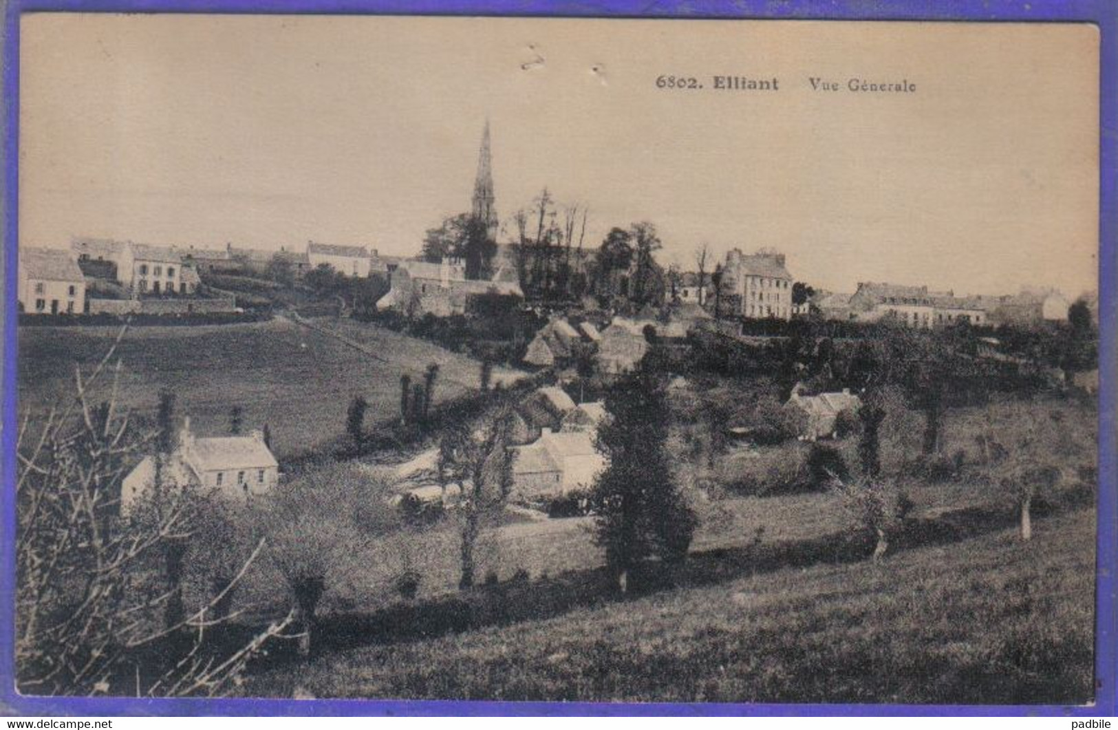 Carte Postale 29. Elliant  Très Beau Plan - Elliant