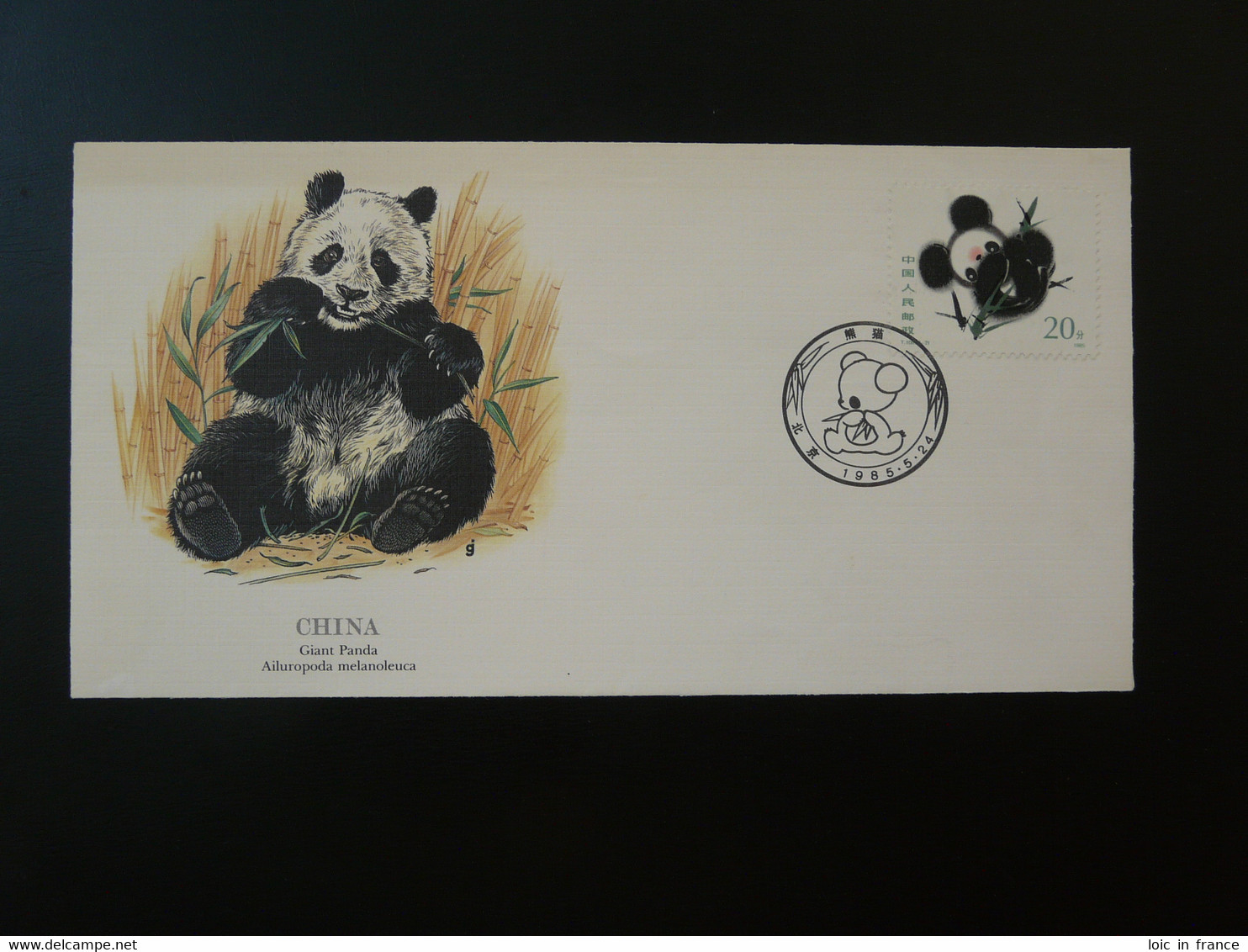 FDC Giant Panda Chine China 1985 - 1980-1989