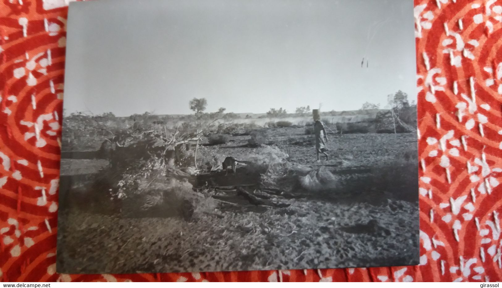 PHOTO SEUL ABRI QUE FONT LES ABORIGENES D AUSTRALIE TERRITOIRE DU NORD BRANCHES HERBES ETNIQUE    FORMAT 9 PAR 12 CM - Ethniciteit & Culturen