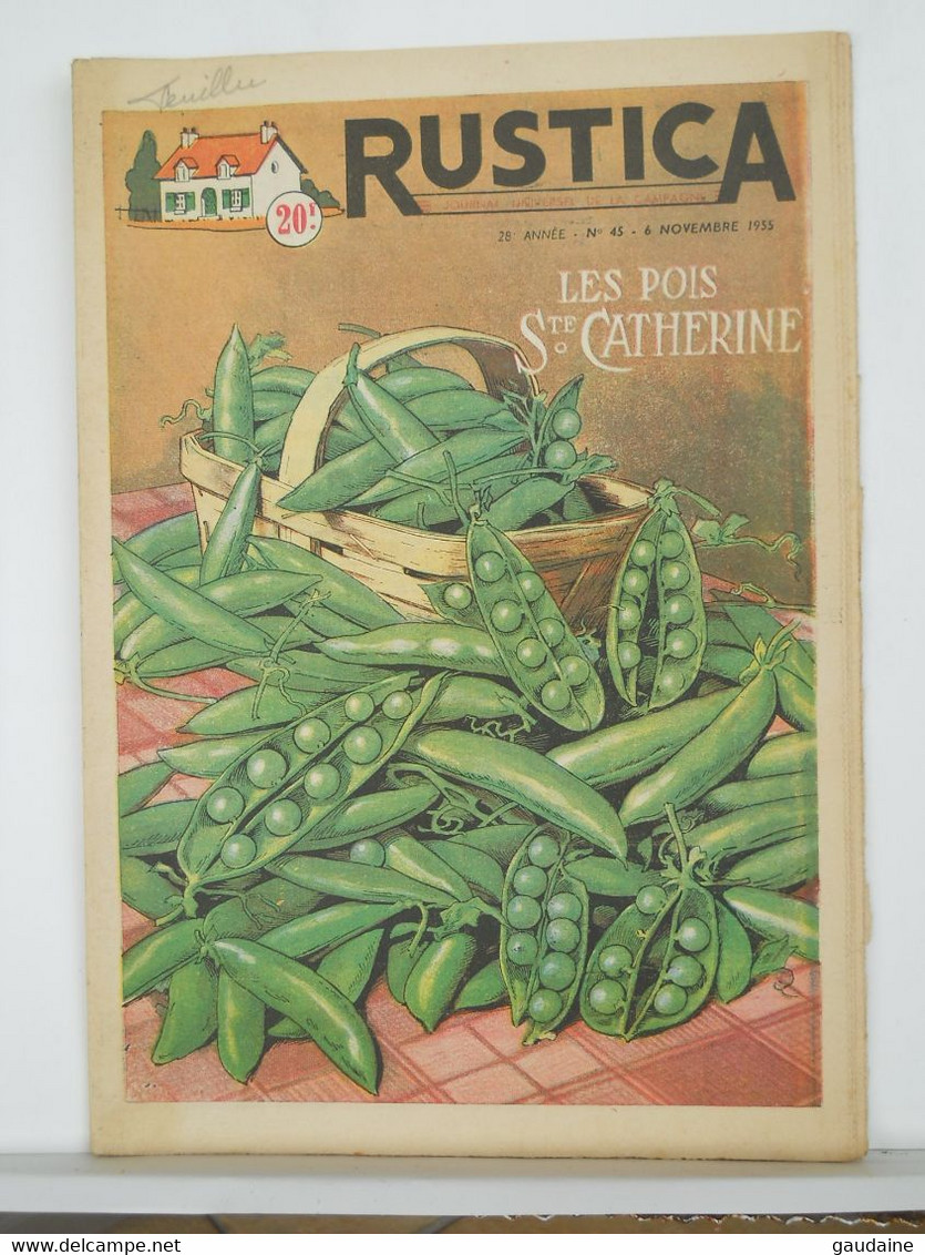 RUSTICA - JARDINAGE CHASSE PECHE BASSE-COUR ELEVAGE - N°45 De 1955 - PETITS POIS ST CATHERINE - Garten