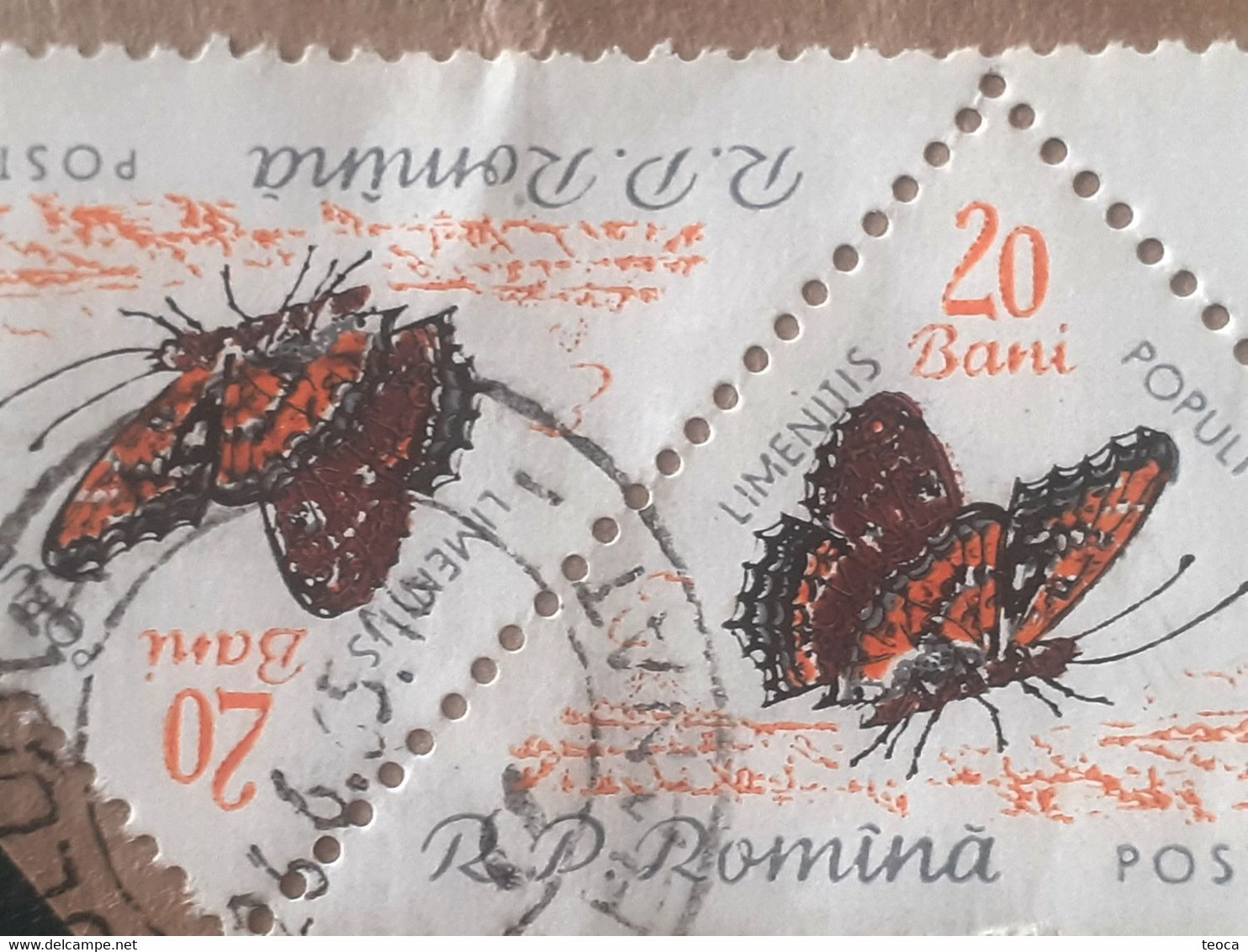 Errors Romania 1960 # Mi 1919  Color Printing Out Butterfly Wings  Used - Variedades Y Curiosidades