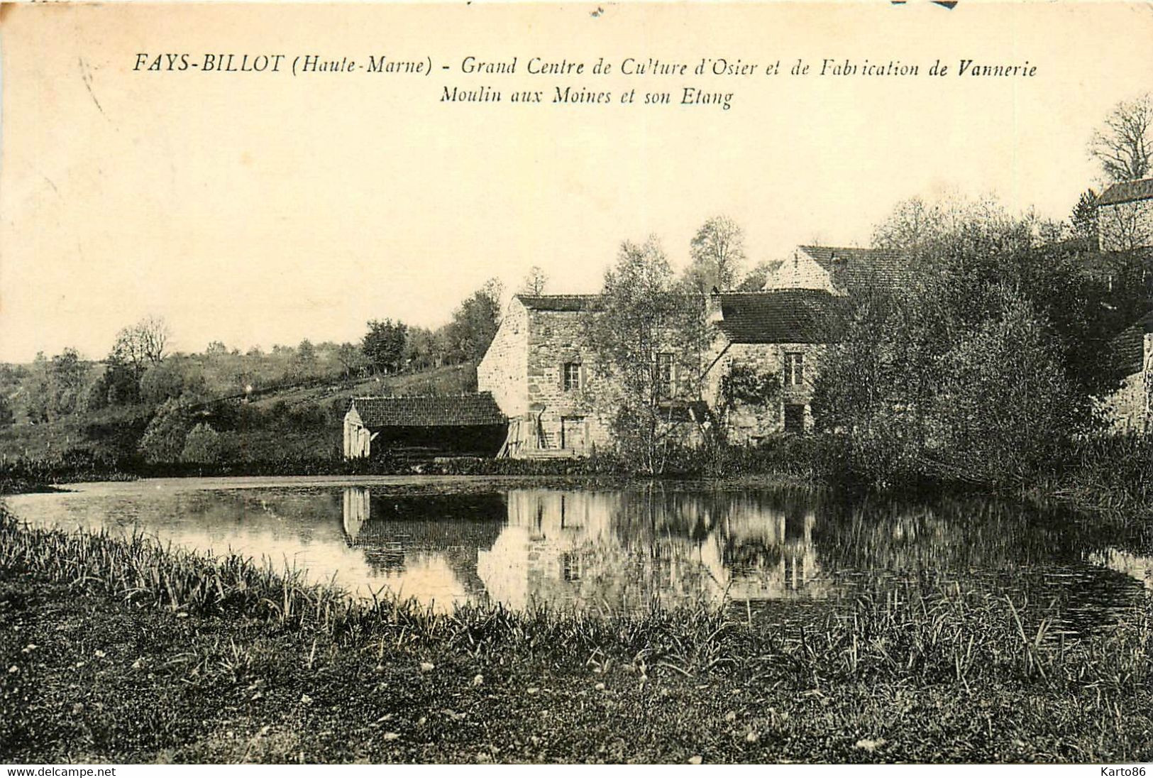 Fayl Billot * Moulin Aux Moines Et Son étang * Minoterie * Grand Centre De Culture Et De Fabrication De Vannerie - Fayl-Billot