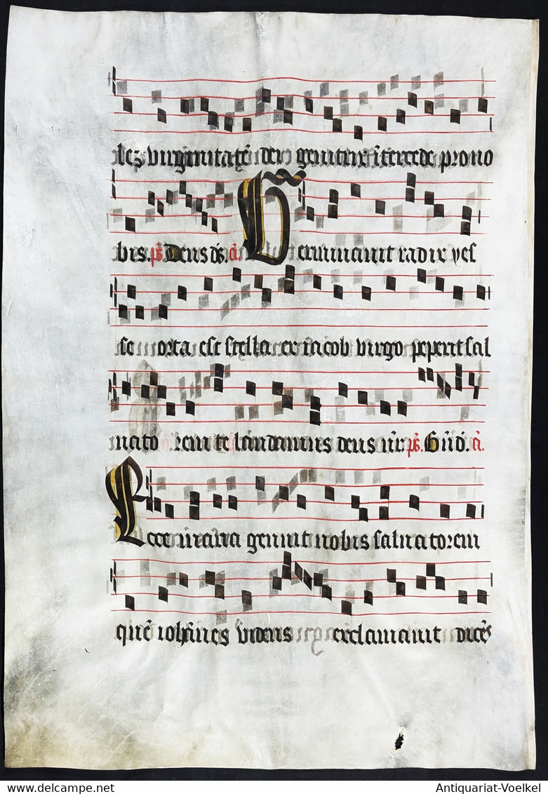 Seltenes, Sehr Großes Original Pergament-Blatt Aus Einer Antiphonar-Handschrift Des 15. Jahrhunderts / Very Ra - Theater & Drehbücher