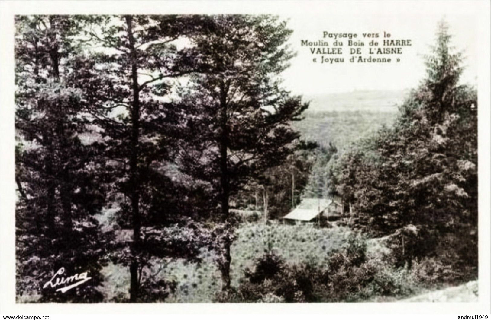 Paysage Vers Le Moulin Du Bois De HARRE - Manhay