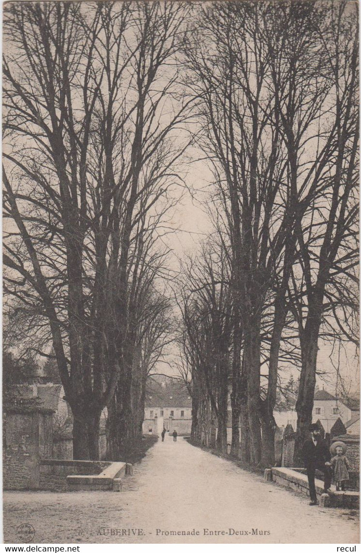 HAUTE MARNE - AUBERIVE - Promenade Entre Deux Murs - Auberive