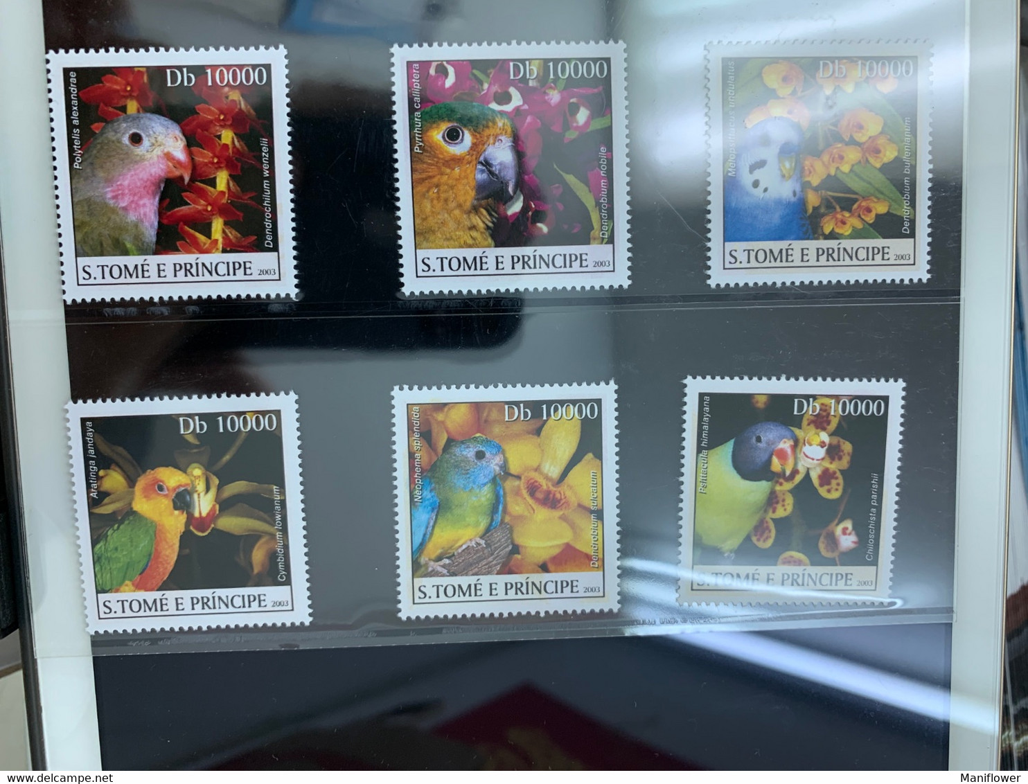 Parrots Orchids S. Tome E. Principe Stamp From Hong Kong MNH - Cartas & Documentos