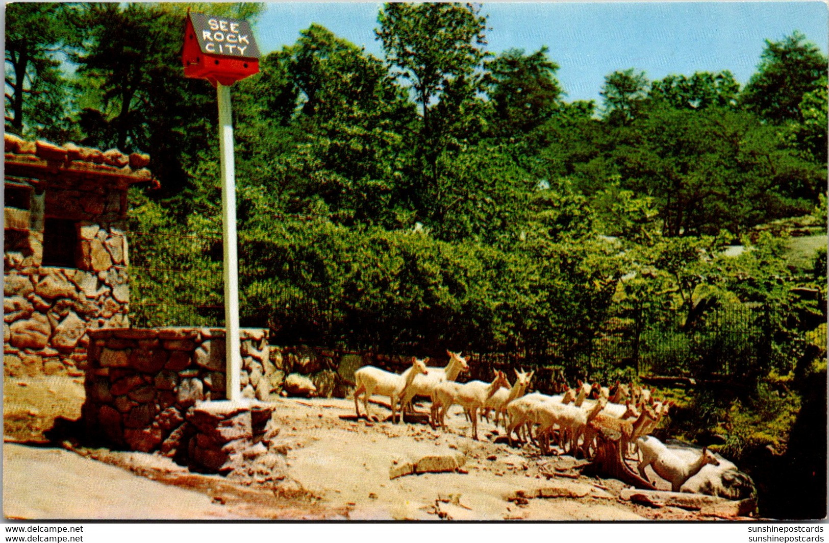 Tennessee Chattanooga Lookout Mountain Deer Park At Rock City - Chattanooga