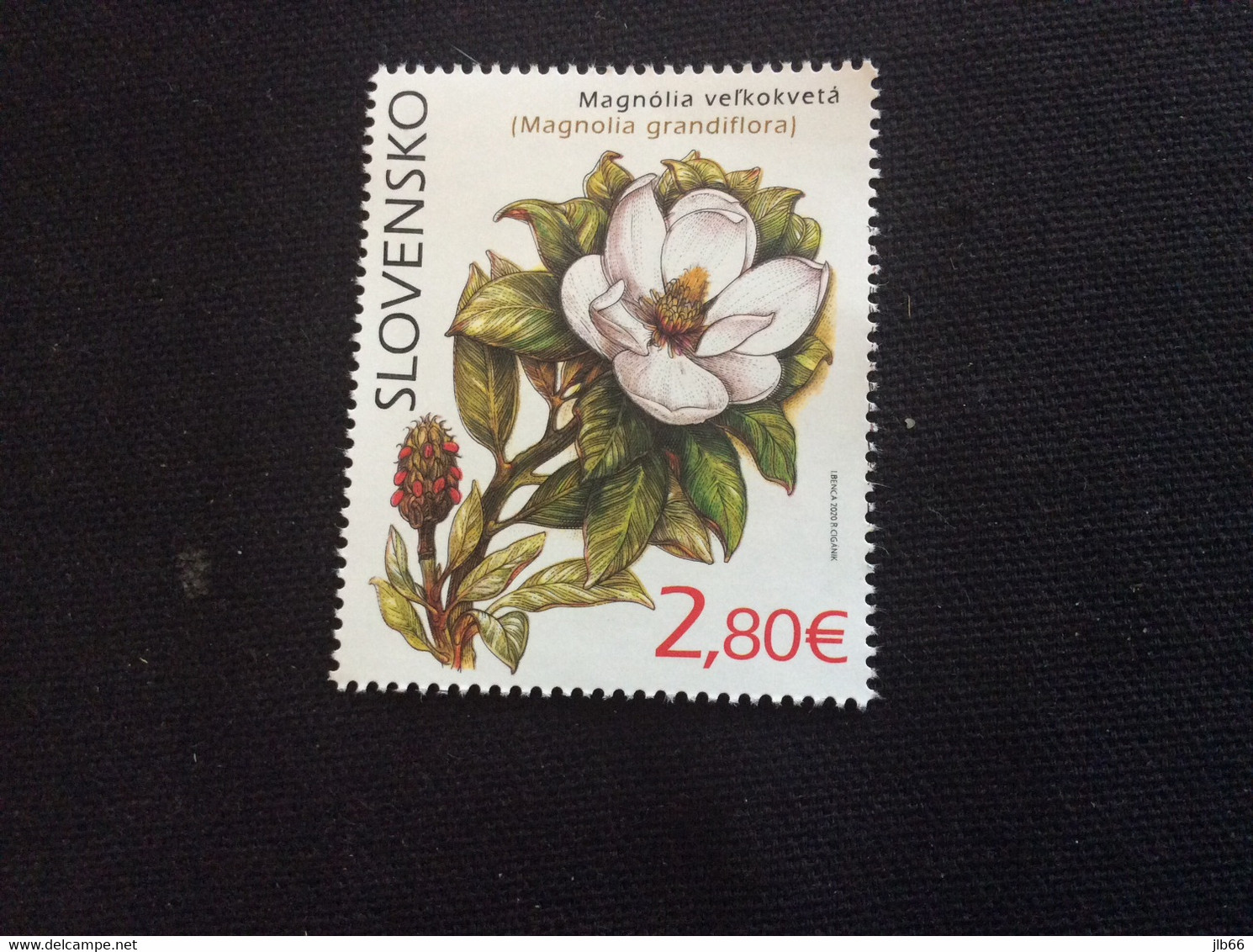 2020 Michel 905 O** Mint MNH Botanic Garden Jardin Botanique De Kosice Magnolia - Nuovi