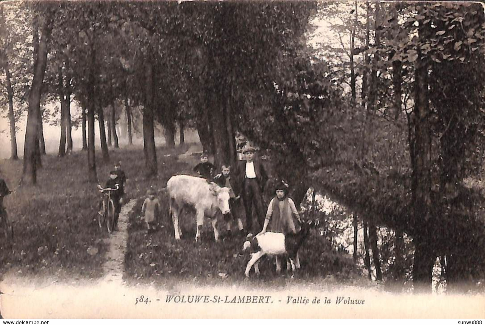 Woluwe Saint Lambert - Vallée De La Woluwe (animée Edit Henri Georges Découpe 2 Cm Peu Visible) - St-Lambrechts-Woluwe - Woluwe-St-Lambert