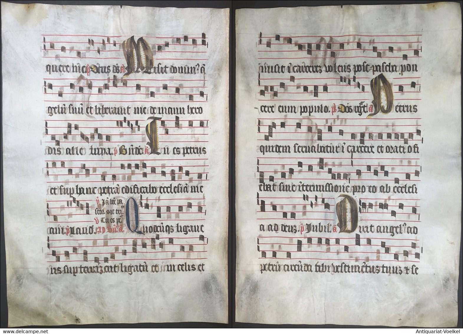 Very Rare Large Elephant Folio Vellum Sheet. Out Of An Antiphonary Manuscript From The 15th Century. / Seltene - Theater & Drehbücher