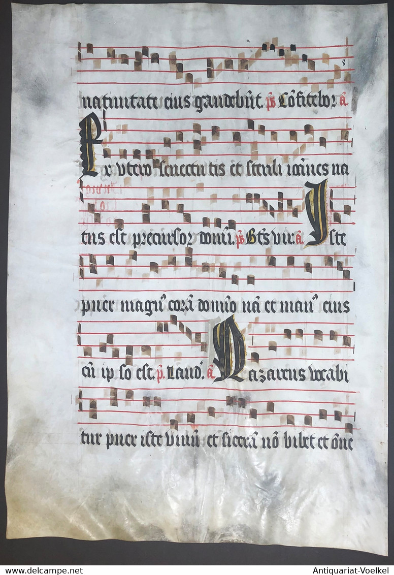 Very Rare Large Elephant Folio Vellum Sheet. Out Of An Antiphonary Manuscript From The 15th Century. / Seltene - Théâtre & Scripts