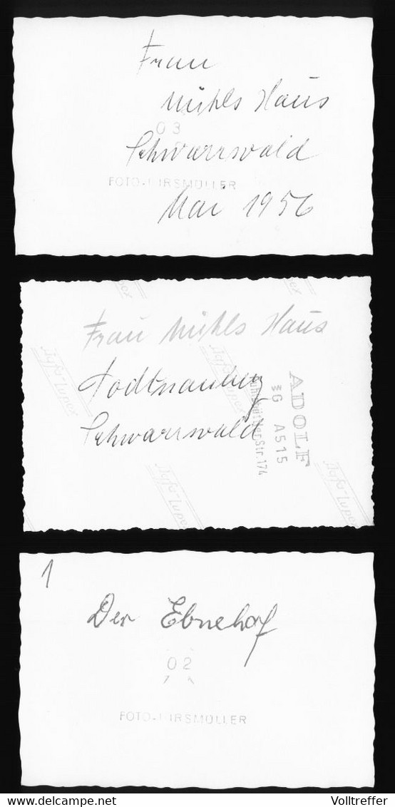 3x Orig. Foto 1956 Todtnauberg Todtnau Ortspartie Umgebung, Ebnehof, " Frau Müllers Haus " Pension ? - Todtnau