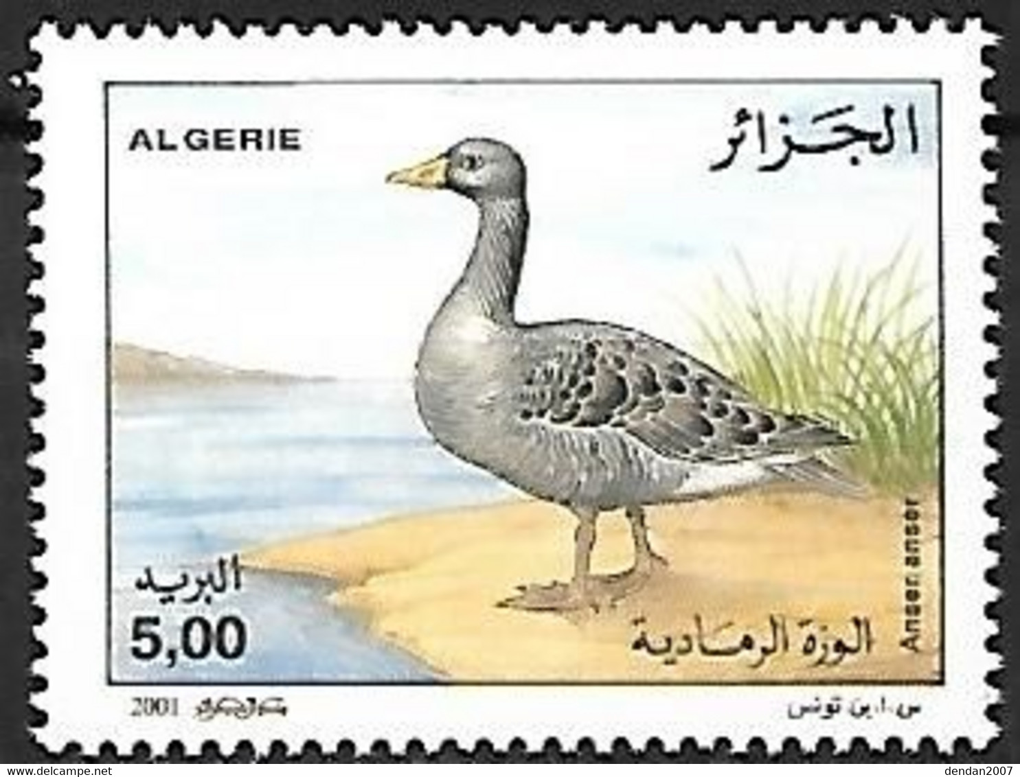 Algeria - MNH ** 2001 :  Greylag Goose -   Anser Anser - Oies