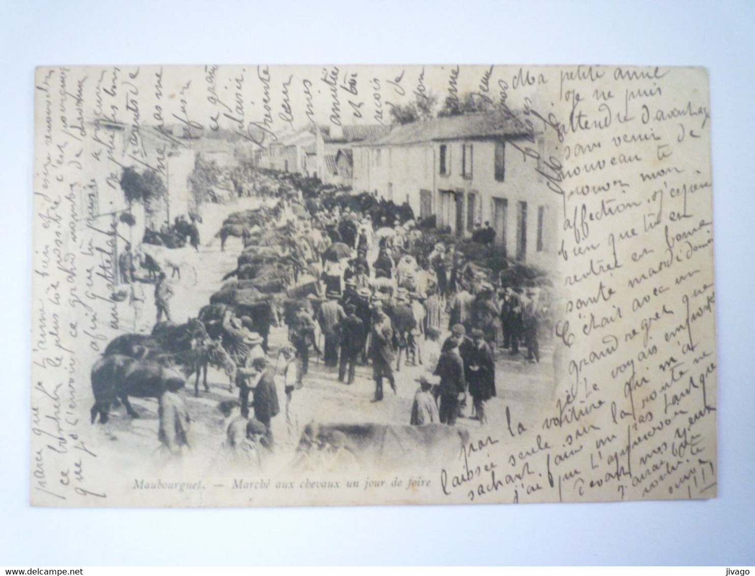 2022 - 3419  MAUBOURGUET  (Hautes-Pyrénées)  :  Marché Aux CHEVAUX Un Jour De FOIRE  -  RARE   XXX - Maubourguet