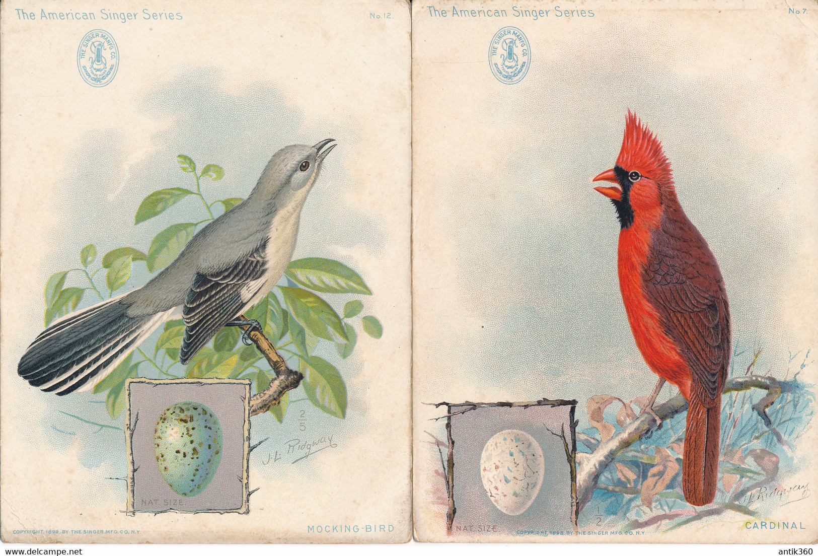 Lot De 5 Chromos The America Singer Series  Oiseaux Et Oeufs Illustrateur JL Ridgway 1898 - Andere & Zonder Classificatie