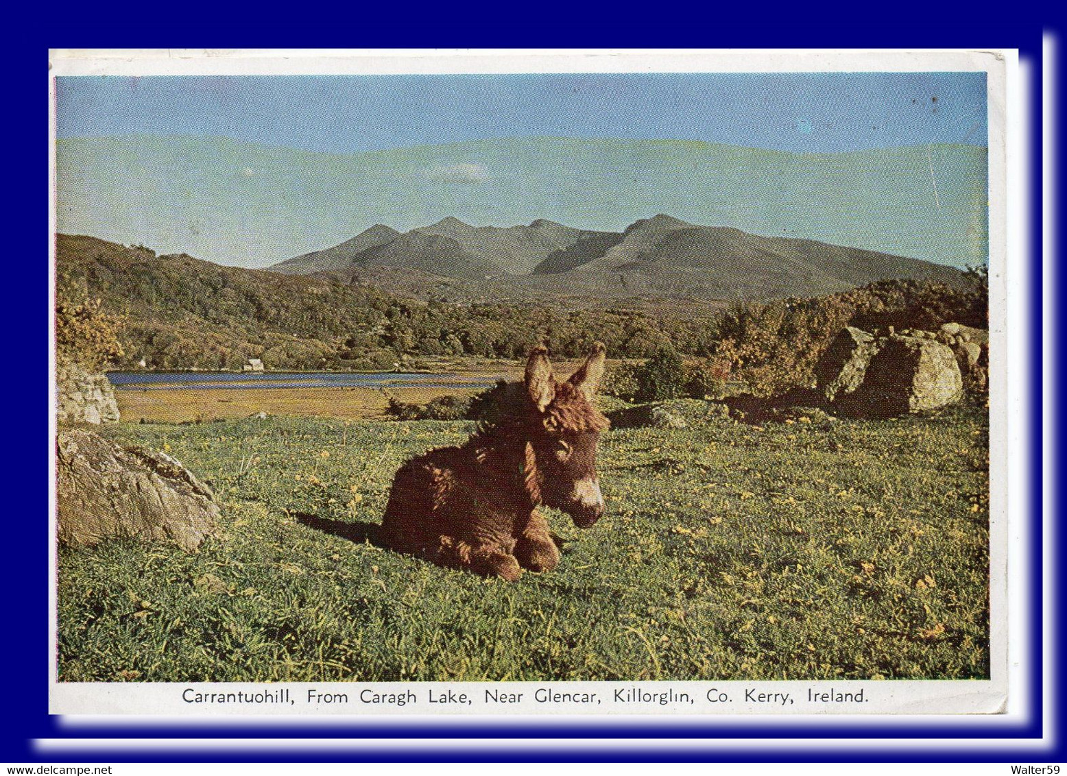 1972 Eire Ireland Postcard Carrantuchill Near Glencar Posted To England 2scans - Storia Postale