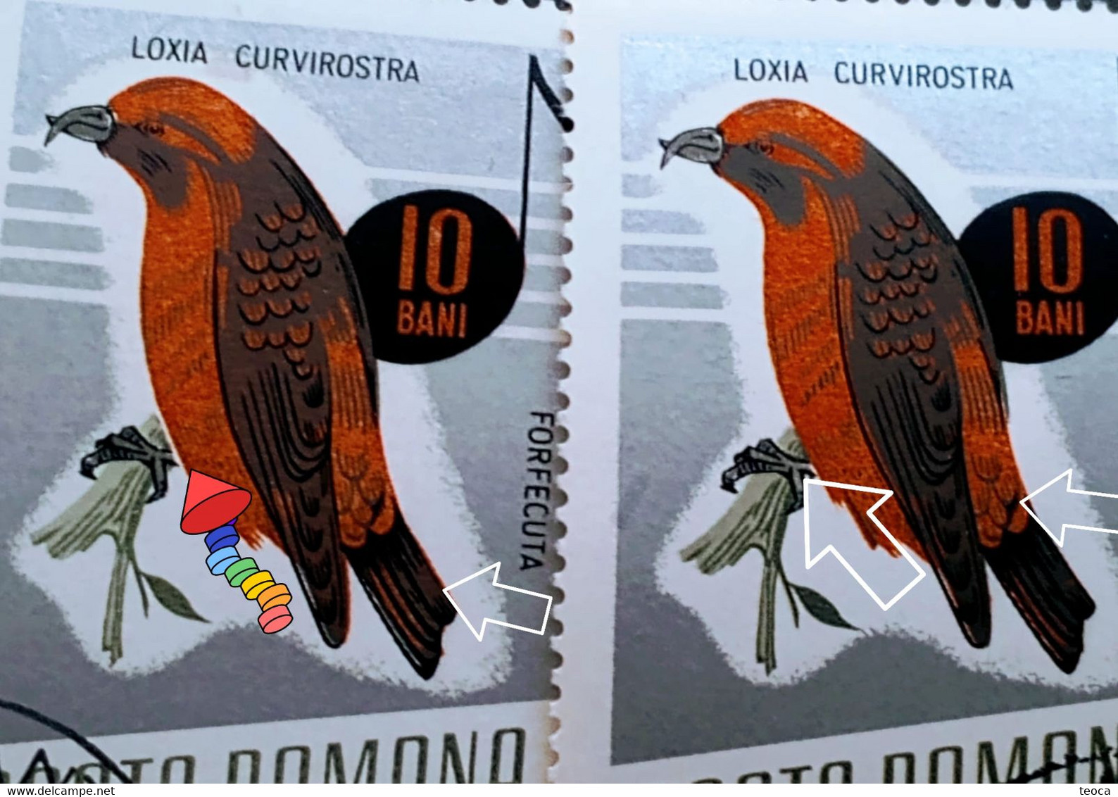 Errors Romania 1966 # MI 2501 Printed  With Displaced Bird , Songbirds - Varietà & Curiosità