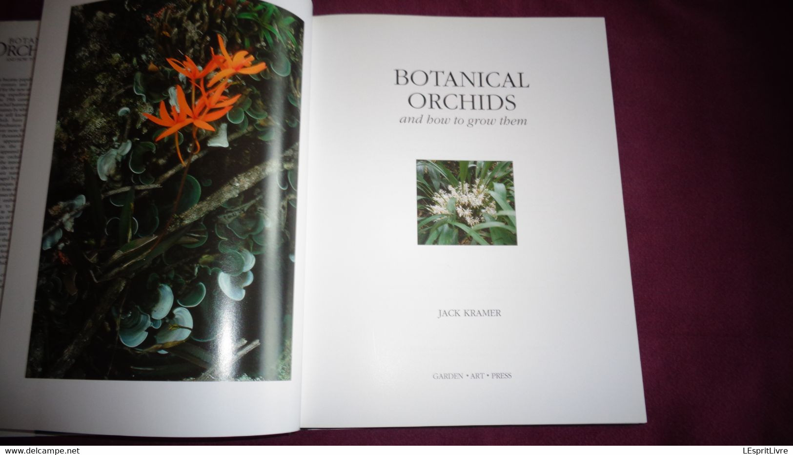 BOTANICAL ORCHIDS And How To Grow Them Botanique Plantes Fleur Orchidées Flowers Index Classification Societies Orchidea - Autres & Non Classés