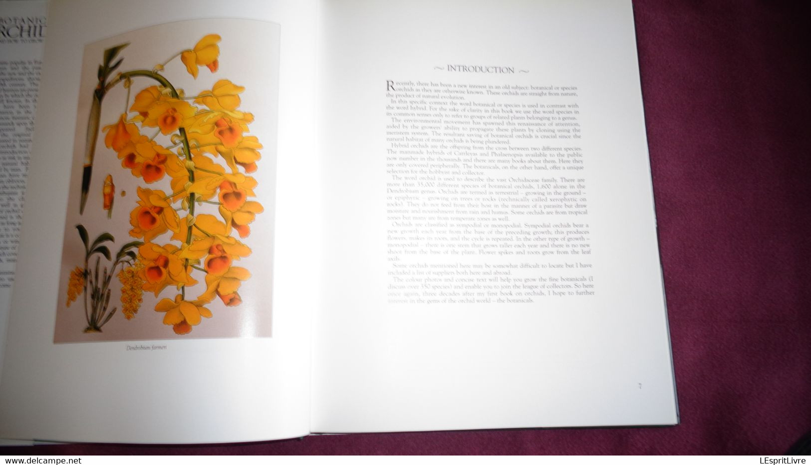 BOTANICAL ORCHIDS And How To Grow Them Botanique Plantes Fleur Orchidées Flowers Index Classification Societies Orchidea - Other & Unclassified