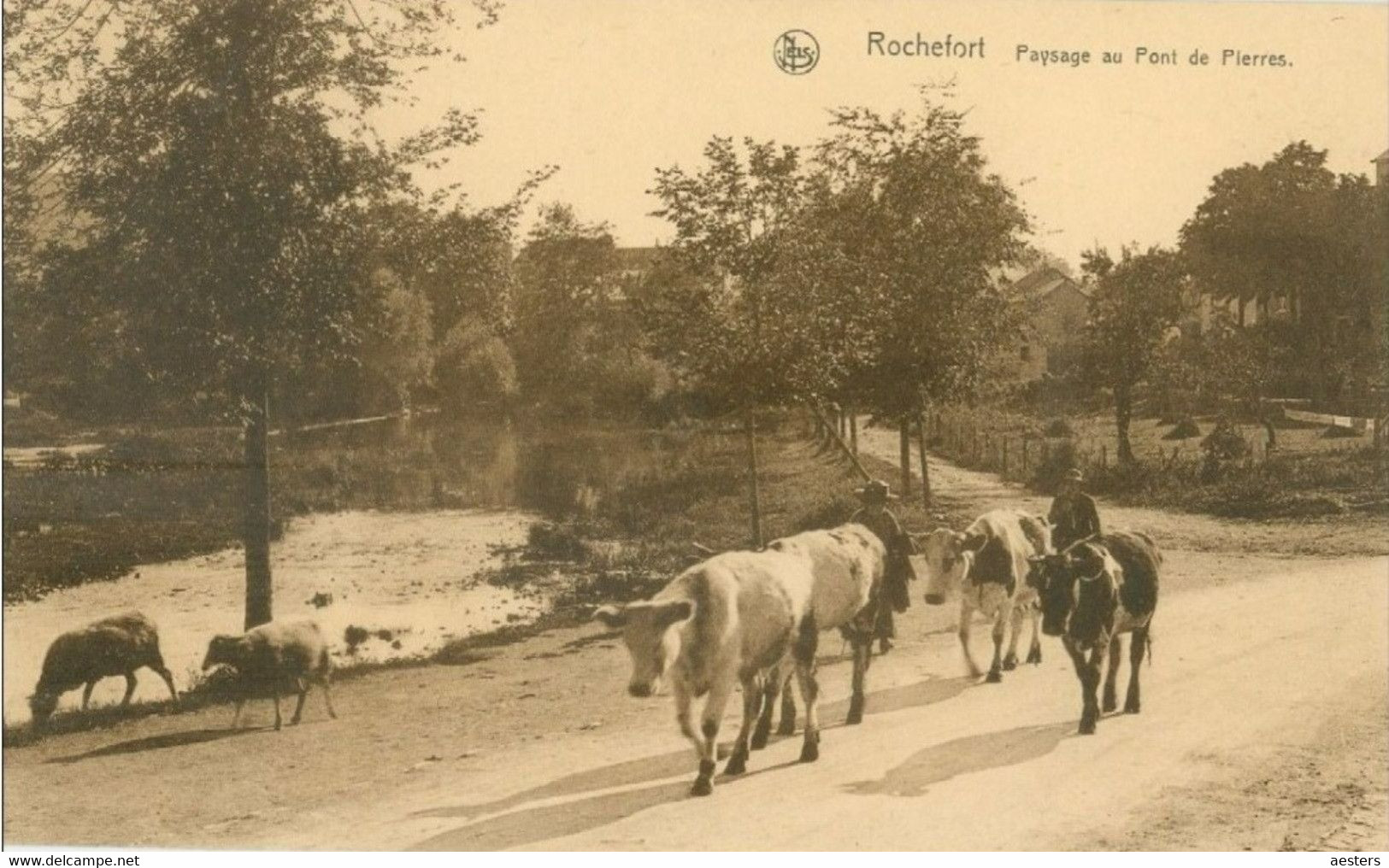 Rochefort; Paysage Au Pont De Pierres - Non Voyagé. (Thill - Bruxelles) - Rochefort