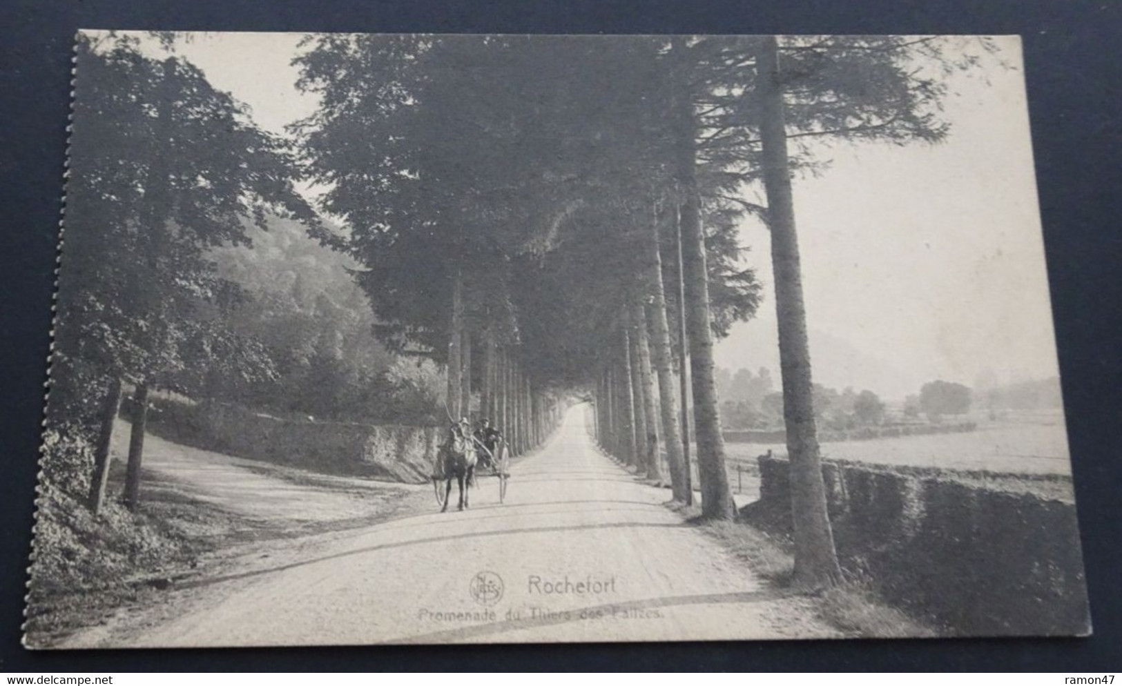 Rochefort - Promenade Du Thiers Des Falizes - Ern. Thill, Bruxelles, Série 11, N° 26 - Rochefort